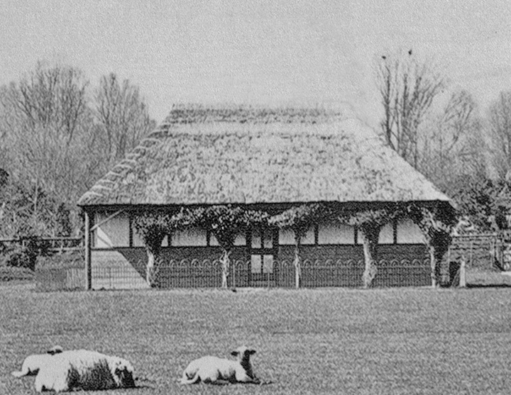 The clubhouse